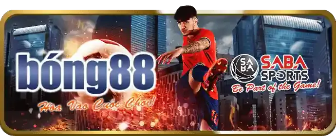 Nền tảng uy tín và đáng tin cậy